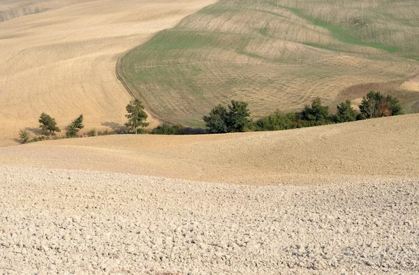 Волнистые поля в Тоскане, Италия — стоковое фото