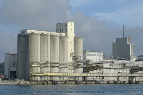 Kukurydza silosu — Zdjęcie stockowe