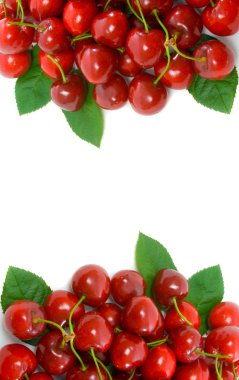 Cherry Side Borders clipart