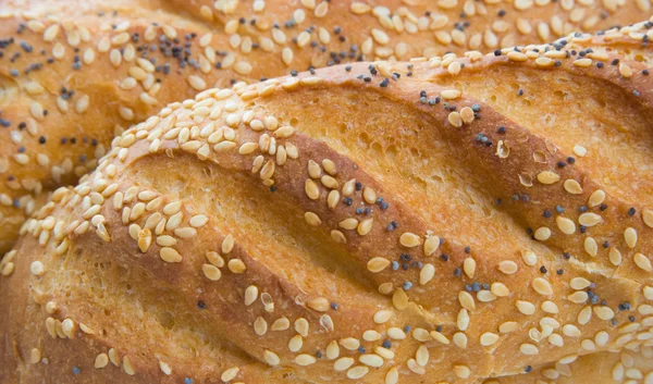 Sour Dough Bread — Stock Photo, Image