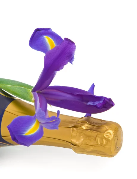 Fiore di iris con bottiglia di champagne — Foto Stock