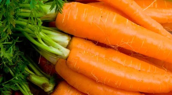 Bunch of Baby Carrots — Stock Photo, Image