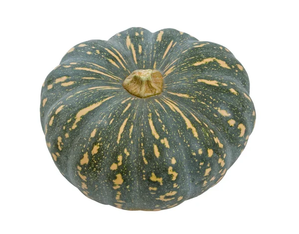 stock image Whole Pumpkin