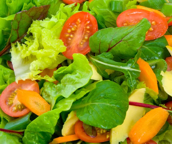 Mixed Salad — Stock Photo, Image
