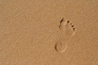 Footprint in sand clipart