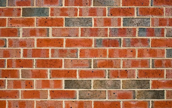 stock image Brick Wall