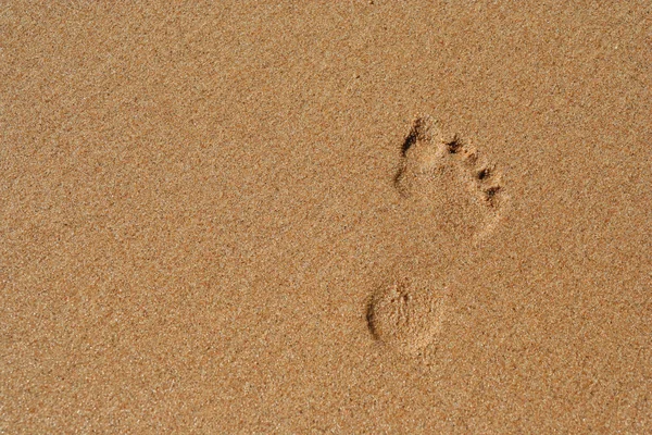 沙中的足迹 — 图库照片