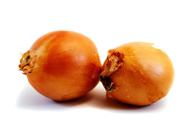 Dos cebollas marrones — Foto de Stock