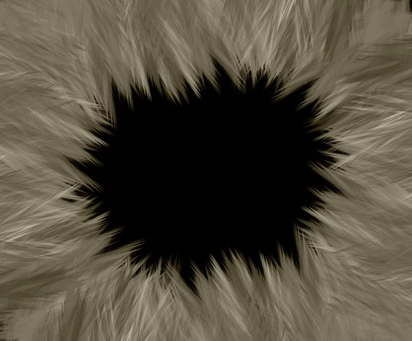 Grunge Fellrand mit ovalem schwarzen Zentrum — Stockfoto