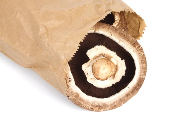 stock image Mushroom in Paper Bag