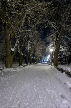 Şehir Parkı