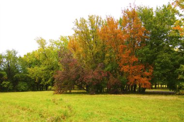 sonbahar park