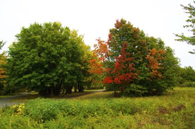 sonbahar park