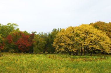 sonbahar park