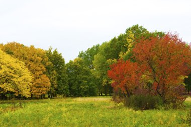 sonbahar park