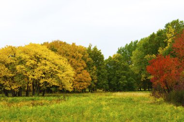 sonbahar park