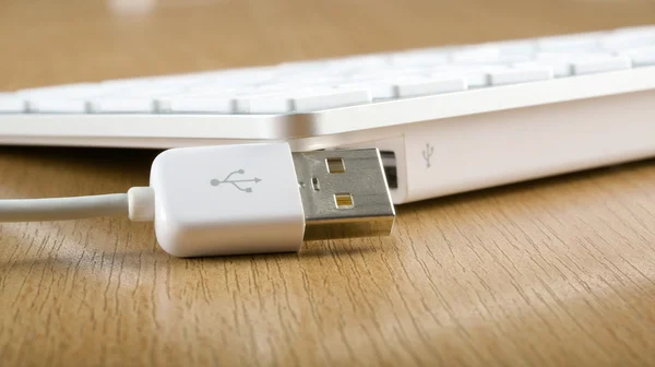 De moderna och eleganta tangentbord och USB-anslutning — Stockfoto
