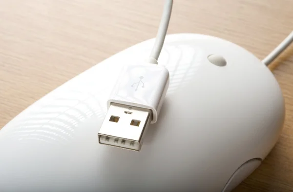 The white mouse for the computer. Usb connect. — Stock Photo, Image