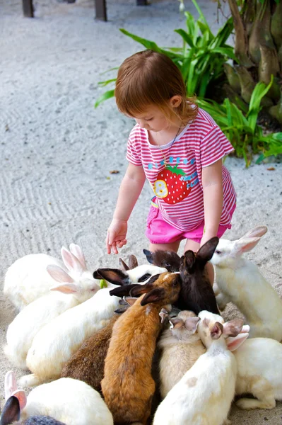 La niña alimenta a los conejos — Foto de Stock