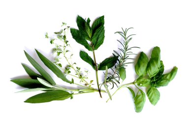 Herbs clipart