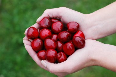 Cherries and hand clipart