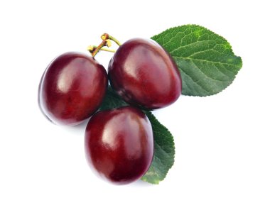 Plums 5 clipart