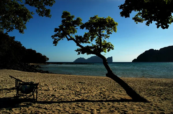 Phi Phi beach — Stock Photo, Image