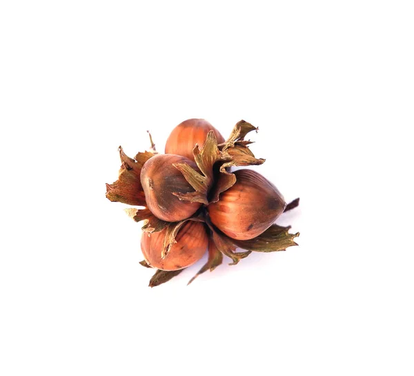 Hazelnuts 1 — Stock Photo, Image