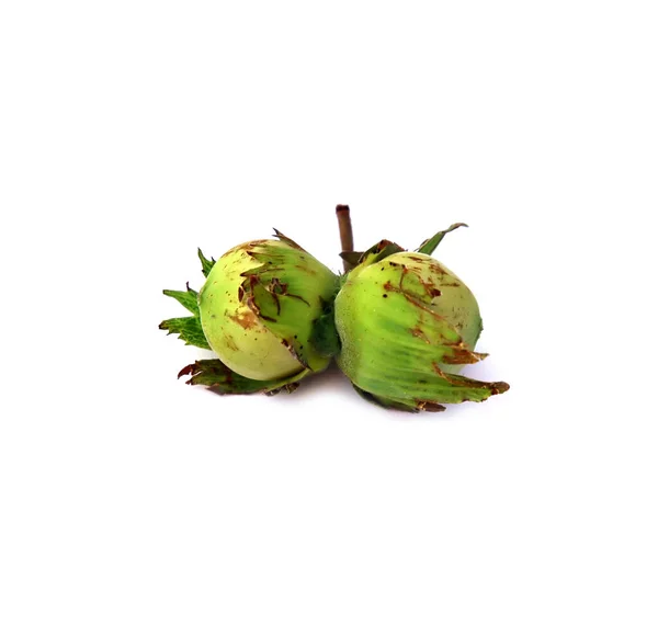 Hazelnuts 3 — Stock Photo, Image