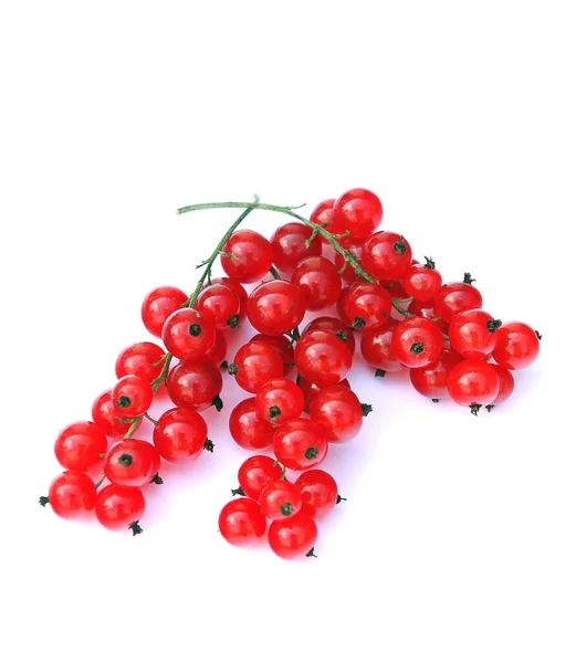 Red currants 1 — Stock Photo, Image