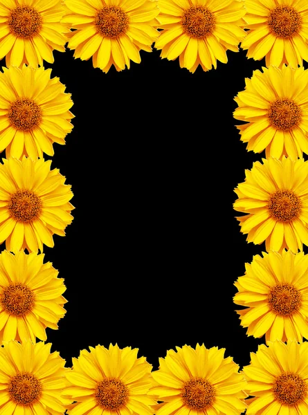 Květiny na pozadí 3 — Stock fotografie