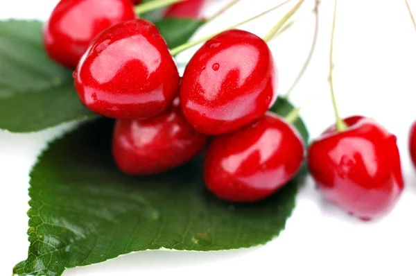 Cherries 2 — Stock Photo, Image