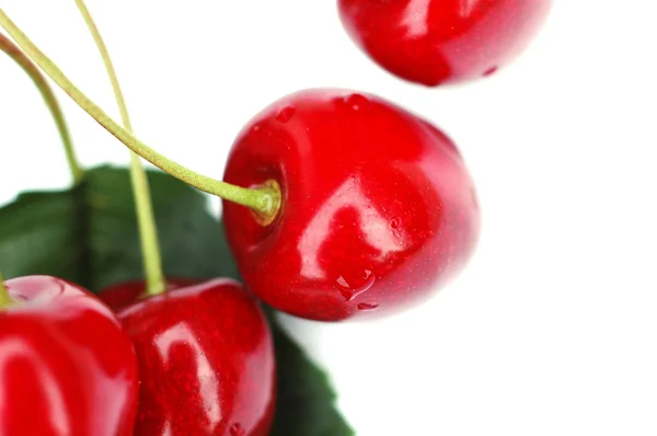 Cherries I — Stock Photo, Image