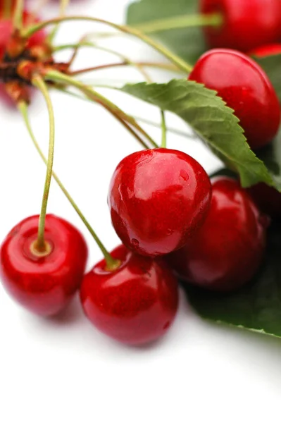 Cherries III — Stock Photo, Image