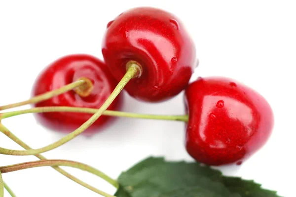Cherries V — Stock Photo, Image