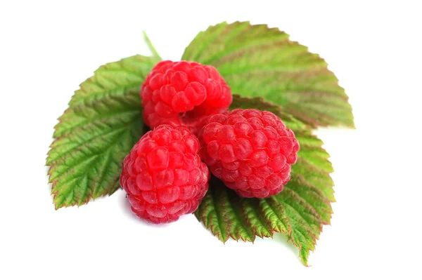Raspberry 6 — Stock Photo, Image