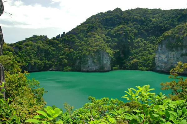 Зеленое озеро — стоковое фото