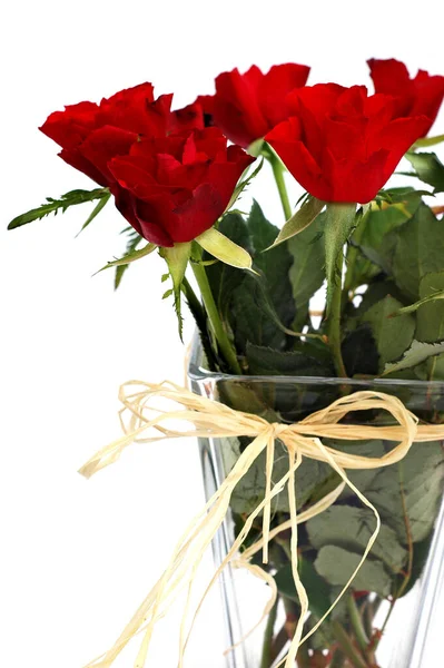Röda rosor 2 — Stockfoto