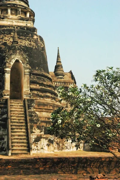 Ayutthaya — Zdjęcie stockowe