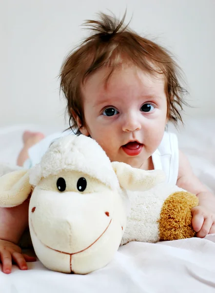 Dětské ovce — Stock fotografie