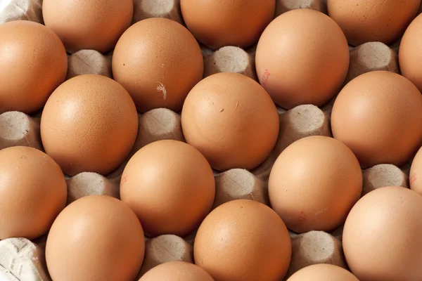 Egg plate — Stock Photo, Image