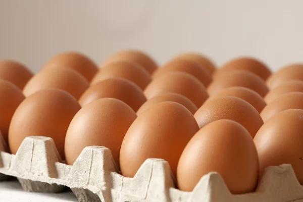 Stock image Egg plate