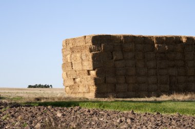 Sahada saman yığını