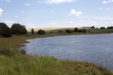 Pond at Trebon, Czech republic clipart