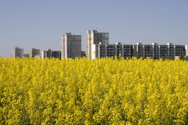 şehir genişletme