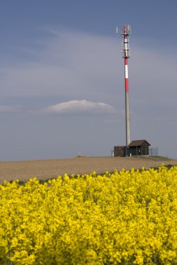 GSM vericisi alanları