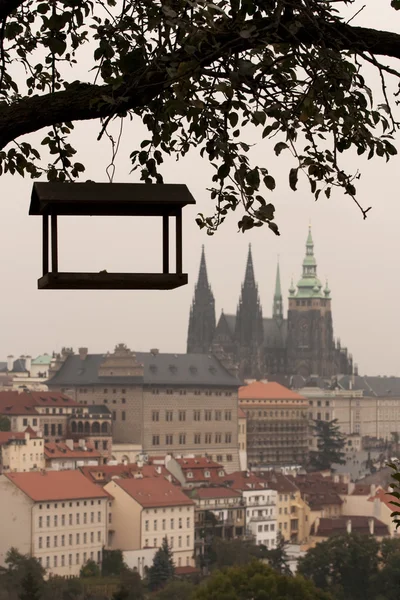 フィーダーとプラハ城 — ストック写真