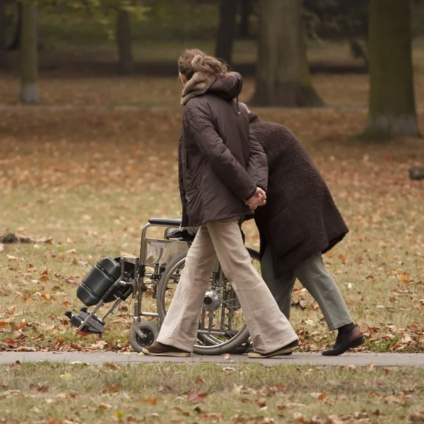 stock image Senior and wheelchair