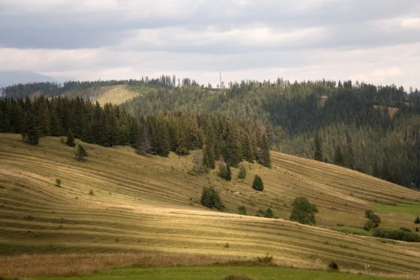 Rolling country — Stock Photo, Image