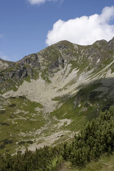 Roce-West Tatras-fjellene – stockfoto